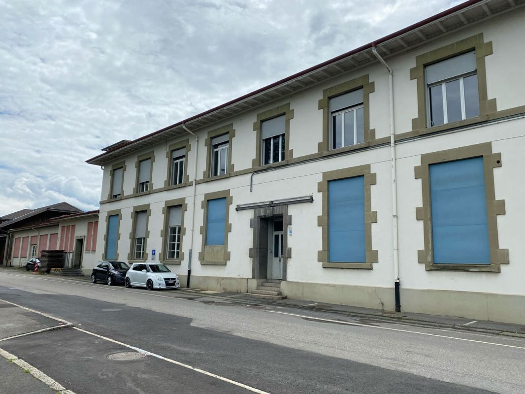 Tryber Meilensteine 2023 2025